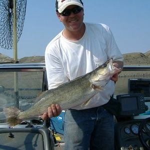 Meet your Posher, Lane